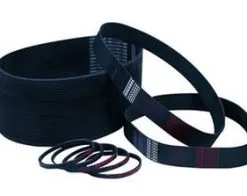 KITY Courroie Plate 575 X 15 Mm Es-band Pour Junior 1 Et Woodster 1