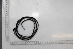 SCHEPPACH - Bande De Pare-éclats Pour Rail 1400 Mm De Scie Plongeante Scheppach, Kity Et Woodster